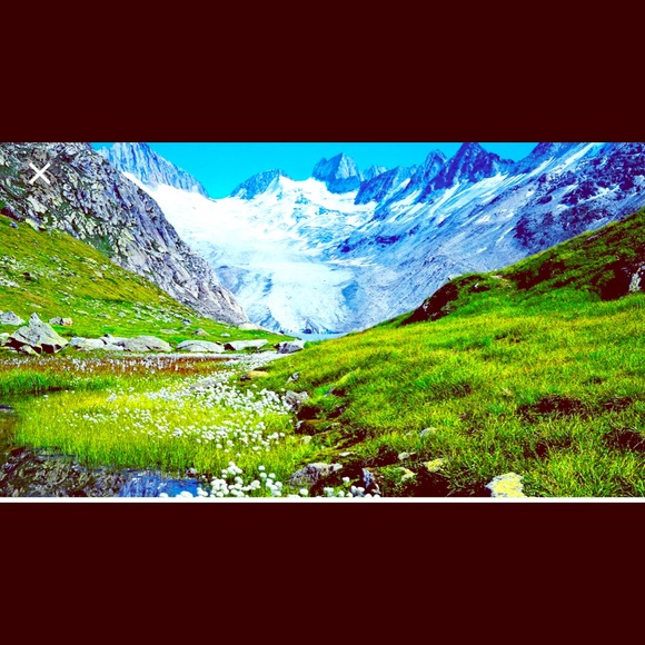 Meet your Posher, Stephanie - Picture 1 of 1